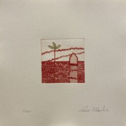 Gravado | Paca Florit